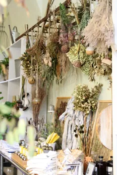 GRDN در بروکلین: رنگهای پاییزی در یک فروشگاه گیاهان مورد علاقه - Gardenista
