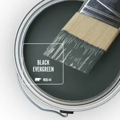 BEHR MARQUEE 1 گالری  # MQ6-44 Black Evergreen One-Coate Hide Saten Enamel Paint & Primer-745301 - انبار خانه