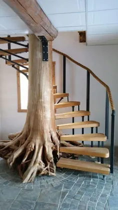 راه پله مارپیچی ساخته شده از یک درخت.