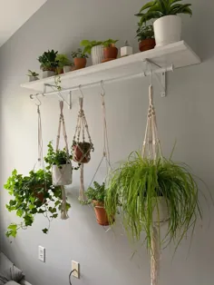 احساس کردم این دیوار خالی به زندگی جدیدی احتیاج دارد.  برای نگهداری گیاهان جدید خانه قفسه میله کمد از آمازون خریداری کرده اید؟