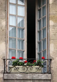 پنجره و گلها ، پاریس