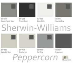 نقاشی رنگ شروین ویلیامز فلفل قرمز - بهترین خاکستری تیره؟  - KnockOffDecor.com