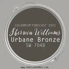 شروین ویلیامز 2021 رنگ سال |  Urbane Bronze SW 7048!