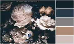 چاپ عکس دالیا - گل طبیعت بی گل ، گل کوکب در شیشه ها ، سبک زندگی ، هنر گیاه شناسی ، عکس گل