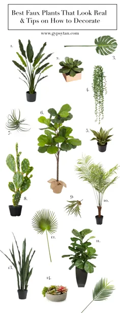 15 بهترین گیاه مصنوعی برای دکوراسیون منزل |  بهترین گیاهان تقلبی 2020