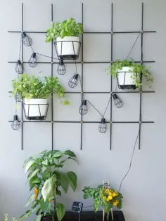 DIY - شبکه های گیاهان را برای باغ و بالکن از میله های گرد درست کنید