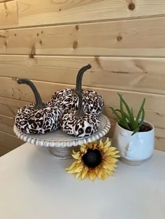 Fabric Pumpkins Leopard چاپ مجموعه 3 اندازه مختلف glam |  اتسی
