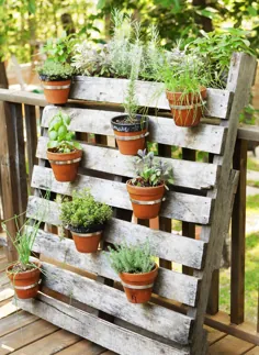 9 dicas de como fazer uma mini horta para sua casa - وبلاگ Todeschini