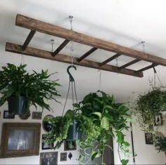 نردبان قفسه گلدان لکه دار گردو 4 یا 5 فوت نگهدارنده گیاه و سبد ، محفظه قابلمه و ظرف آویز.  قفسه گیاه معلق.  دکوراسیون جزیره آشپزخانه.