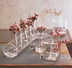گلدان های مدرن Ikebana: گلدان شیشه ای مکعب