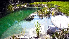 Schwimmteich، Naturpool oder Biotop von Garten Hammerl