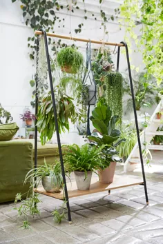 25 روش برای ایجاد نمایشگرهای گیاهان خیره کننده