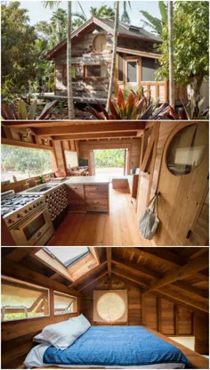 این خانه کوچک در مناطق گرمسیر سرسبز Kauai پنهان شده است