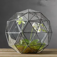 Terrarium plante: les plus beaux models pour votre intérieur!