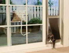 آیا گربه ها می توانند از درهای سگ استفاده کنند؟