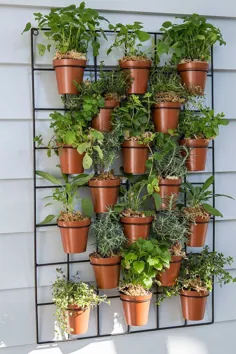 Kräuter auf dem Balkon pflanzen - Wie legt man einen Kräutergarten an؟