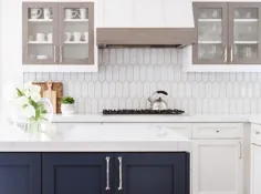 کابینت های جلو آشپزخانه شیشه ای سفید و خاکستری - انتقالی - آشپزخانه