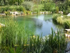 یک استخر شنا در هر باغ برجسته است