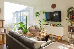 یک آپارتمان مشترک سیاتل پر از گیاهان سبز و ذخیره سازی هوشمند است