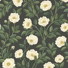کاغذ دیواری Hampton Roses - Great Masters - Cole & Son، Roll / Cream & Forest Green روی ذغال
