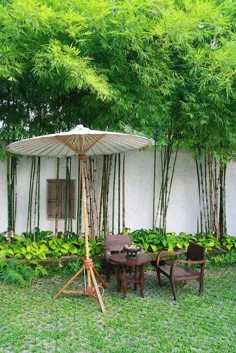 10 ایده محوطه سازی بامبو - باشگاه دوستداران باغ