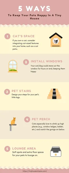 5 راه برای خوشحال نگه داشتن حیوان خانگی در یک خانه کوچک |  راه کوچک شهروندان خانه
