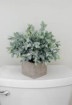 چگونه می توان 2018 رنگ Pinterest ، سبز مریم گلی را به خانه خود وارد کرد