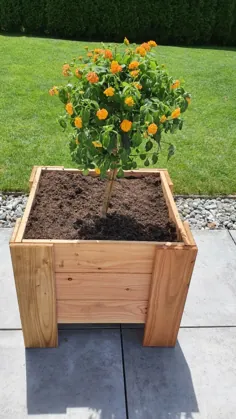 گلدان های چوبی برای باغ شما