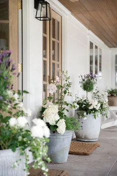 چگونه یک گلدان گل تابستانی زیبا برای خانه خود بکاریم