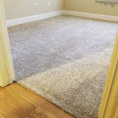 فرش خاکستری تمام روز