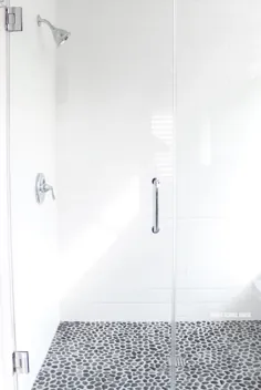 حمام خاکستری و سفید