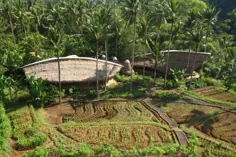 مدرسه سبز ساخت بامبو را در اندونزی به نمایش می گذارد