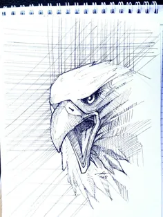 نقاشی ساده عقاب با مداد