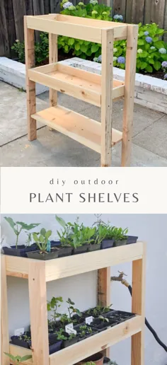 قفسه گیاهان DIY Outdoor - Treehouse Hydrangea