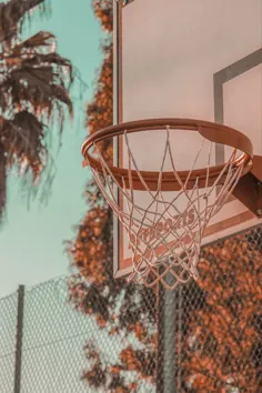 بسکتبال خالص زیبایی کالیفرنیا تن