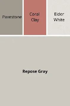Reose Grey: بررسی کامل رنگ رنگ
