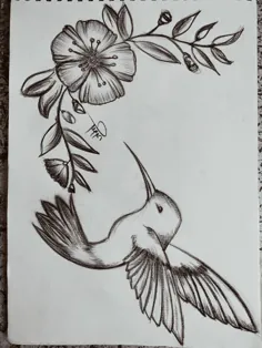 نقاشی پرنده و گل رز با سرب و زغال
مداد طراحی، پرنده زغالی و گل