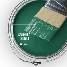مار بهروي 1 قطعه  # P430-7 Sparkling Emerald Matte Paint & Primer-145304 - انبار خانه