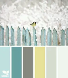11 پالت رنگ زیبا با الهام از زمستان |  عزیزم مرکز