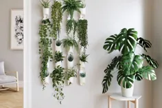 5 دیکه Pinterest را برای تزئینات sua casa com plantas انجام دهید