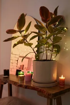 26 روش درخشان برای تزئین با چراغ های رشته ای در خانه