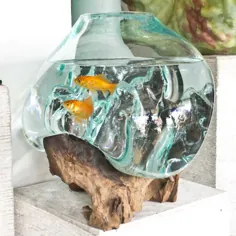 گلدان شیشه ای یا کاسه ماهی با ریشه چوب پایه بزرگ برای دکوراسیون عجیب و غریب