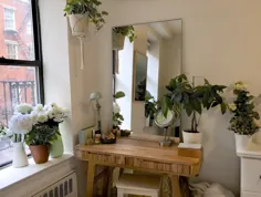 یک آپارتمان کوچک نیویورک دارای زیبا ترین نمایشگر ساده گیاه در بالای تخت است