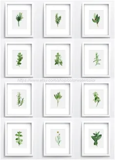 نمودار گیاهان مجموعه ای از 12 ادویه جات تزئینی دیوار آشپزخانه چاپ هنر
