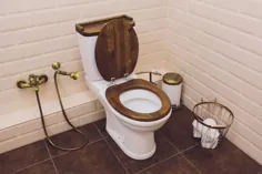 5 بهترین صندلی توالت فرنگی چوبی (نظرات 2021) - حفرهای معقول