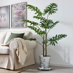 گیاه گلدان مصنوعی FEJKA ، فیلودندرون داخلی / فضای باز ، 9 اینچ (23 سانتی متر) - IKEA