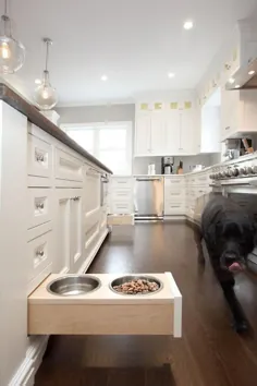 8 ویژگی دوستانه حیوان خانگی برای افزودن به بازسازی آشپزخانه