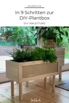 در 9 Schritten zur DIY-Plantbox mit Dekorationswut