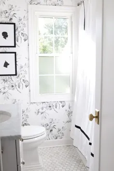 یک حمام گل سیاه و سفید - دانیل ماس