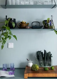 این 15 گیاه در آشپزخانه شما رشد خواهند کرد